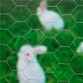 Electro Galvanized Hexagonal Wire Netting    chicken wire dog fence  