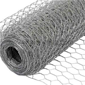 Hot Dipped Galvanized Hexagonal Wire Netting    hex wire netting  