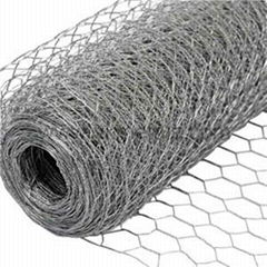 Hot Dipped Galvanized Hexagonal Wire Netting    hex wire netting