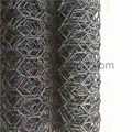 Pvc Coated Hexagonal Wire Netting    pvc coated hexagonal wire mesh  3