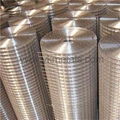 Stainless Steel Welded Wire Mesh   welded wire mesh Manufacturer   2