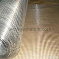 Electro Galvanized Welded Wire Mesh 1