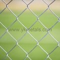 Chain Link Fence   chain mesh fencing