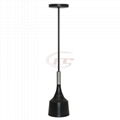 Modern matte black Hotel pendants lamp