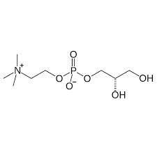 甘油磷脂酰膽碱 Cas：28319-77-9