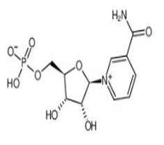 煙酰胺單核苷酸