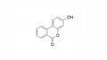 尿石素B Cas：1139-8