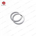 Tungsten Carbide O Seal Ring 3