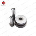 Professional Stamping Tungsten Material Mold Components Round Tooling 2