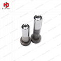 Professional Stamping Tungsten Material Mold Components Round Tooling 4