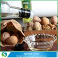 Cold Pressed Cooking Edible 250ml Walnut Oil 