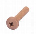 Custom insulation ABS/PEEK/Nylon plasic screw 1