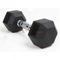 Hexagon Rubber Dumbbell