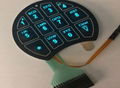 Backlit Membrane Switch