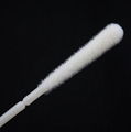 Medical Disposable Flocked Swab Throat 1