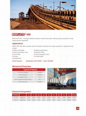 BISPLATE®450 High Strength Wear Resistant Steel      SD steel 