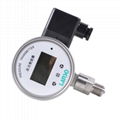 Pressure Measurement Gauge