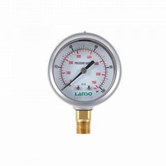 Vacuum Pressure Gauge