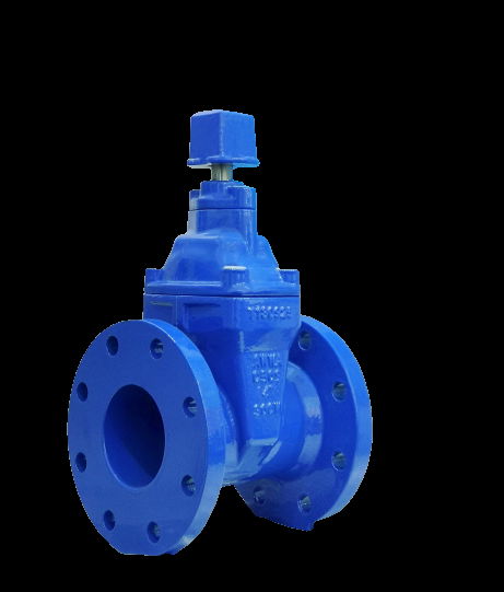 Resilient Seated Gate Valve