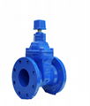 Resilient Seated Gate Valve 1