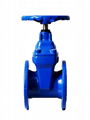 Resilient Seated Gate Valve 2