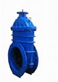 Resilient Seated Gate Valve 3