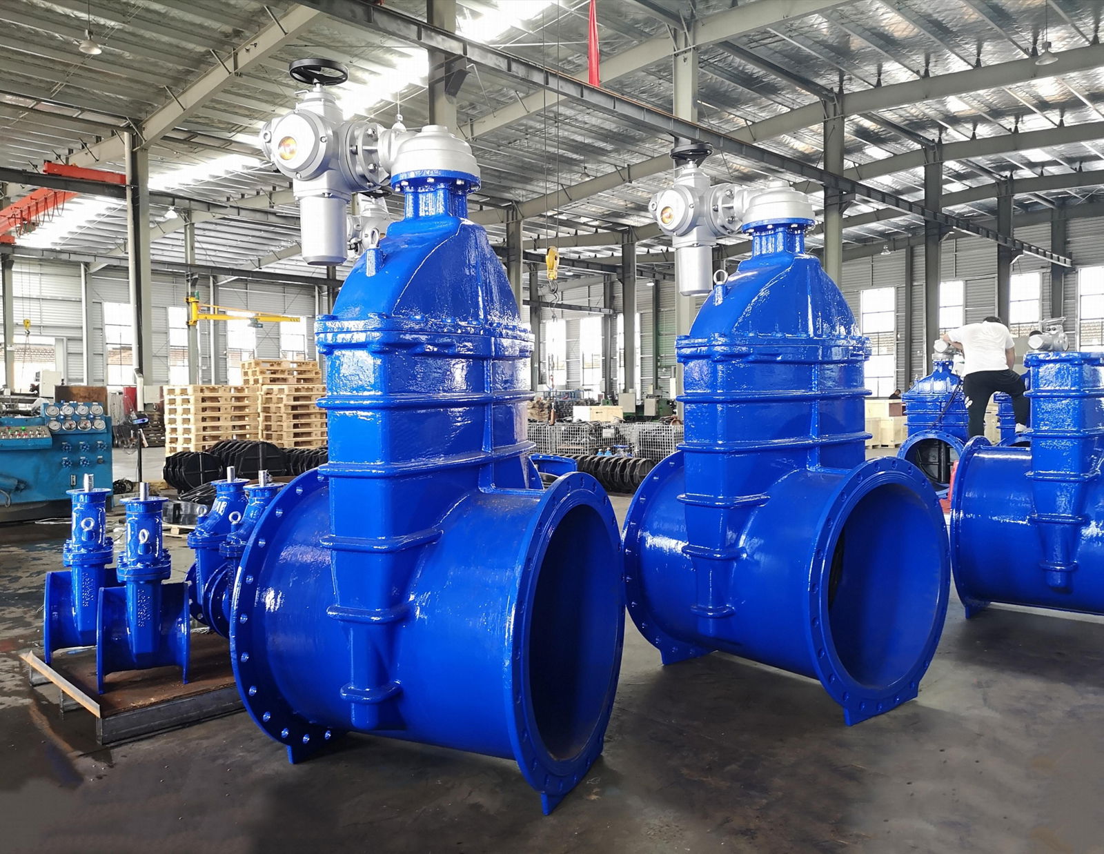 Resilient Seated Gate Valve 5