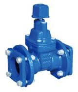 Resilient Seated Gate Valve 4