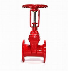 Outside Screw & York, Resilient Seated Gate Valve