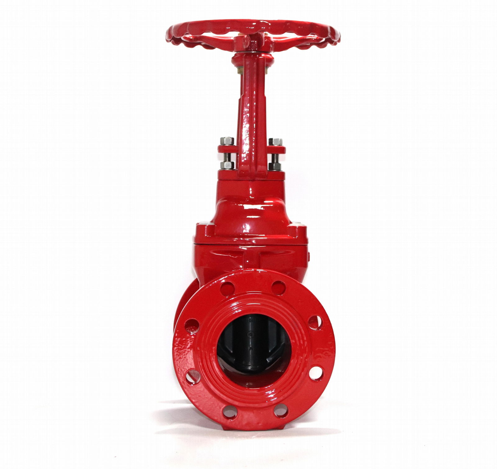 Outside Screw & York, Resilient Seated Gate Valve 3