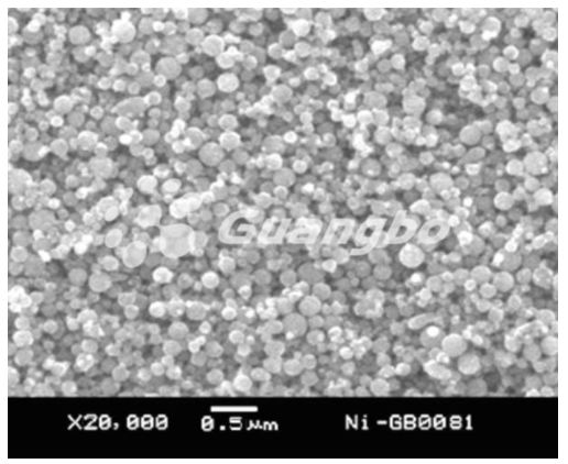 80-600nm High purity Sphere Nano Nickel Powder 20 Years Manufacturer 5