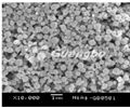 Ultrafine Silver-coated nickel Powder 4