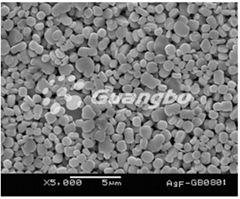 250-2000nm superfine flake Siver Powder