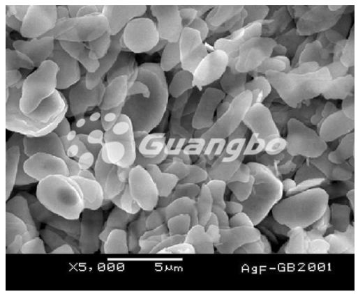 250-2000nm superfine flake Siver Powder 2