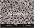 Flake Nano Nickel Powder  1