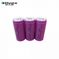 Motorcycle battery cell