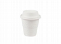 Eco Friendly Disposable & Biodegradable Cup 1