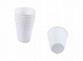 Eco Friendly Disposable & Biodegradable Hot Cup 1