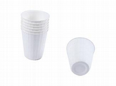 Eco Friendly Disposable & Biodegradable Hot Cup