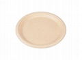 Eco Friendly Disposable & Biodegradable Hotel Plate