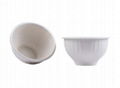 Eco Friendly Disposable & Biodegradable Molded Pulp Containers 1