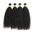 Hot Jerry Curly human hair Wave Virgin human hair Brazilian Body Wave Virgin 