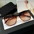 new hot CC sunglasses top quality Sunglasses Sun glasses fashion glasses