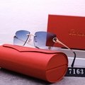 2024 new hot Cartie R7163 sunglasses top quality Sunglasses Sun glasses  glasses 2