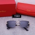 2024 new hot Cartie R7163 sunglasses top quality Sunglasses Sun glasses  glasses 3