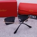 2024 new hot Cartie R7163 sunglasses top quality Sunglasses Sun glasses  glasses 4
