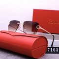 2024 new hot Cartie R7163 sunglasses top quality Sunglasses Sun glasses  glasses 6
