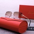 2024 new hot Cartie R7163 sunglasses top quality Sunglasses Sun glasses  glasses 7