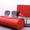 2024 new hot Cartie R7163 sunglasses top quality Sunglasses Sun glasses  glasses 8