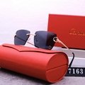 2024 new hot Cartie R7163 sunglasses top quality Sunglasses Sun glasses  glasses 10